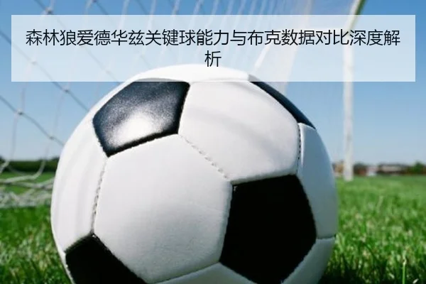 森林狼爱德华兹关键球能力与布克数据对比深度解析