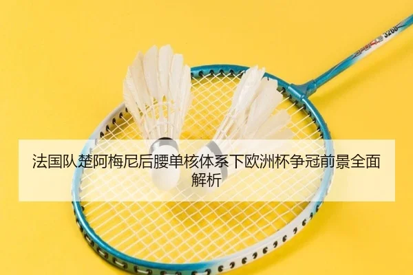 法国队楚阿梅尼后腰单核体系下欧洲杯争冠前景全面解析