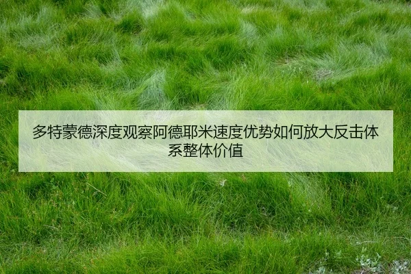 多特蒙德深度观察阿德耶米速度优势如何放大反击体系整体价值